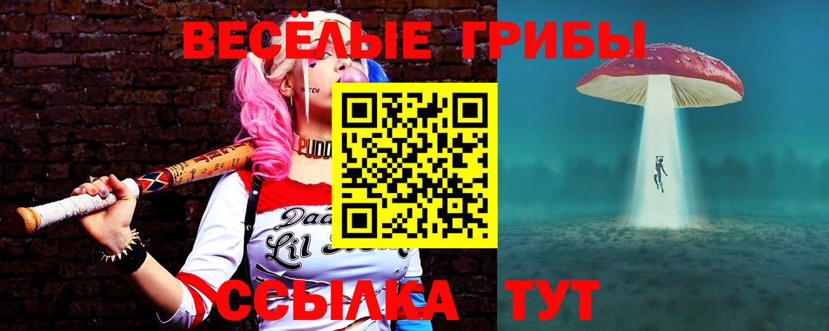 Псилоцибиновые грибы мухоморы  Галлюциногенные грибы GOLDEN TEACHER  Вход с VPN  Вольск 